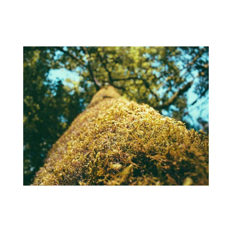 Lightweight Concrete Hat fr-FR